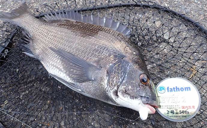 クロダイ狙いヘチ釣り（落とし込み）の最中に釣り人が考えていること3選