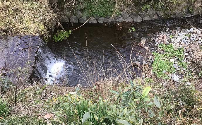 淡水小物釣りでタカハヤ入れ食い堪能　雨天後タイミング狙いが的中？