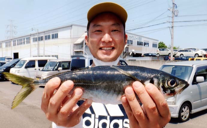 大分県で関アジ釣り満喫　我慢の釣りを制して35～45cmマアジ12尾