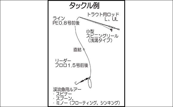 【2022年】渓流ルアー釣り入門　ルアー・操作法・ポイント選び方を解説