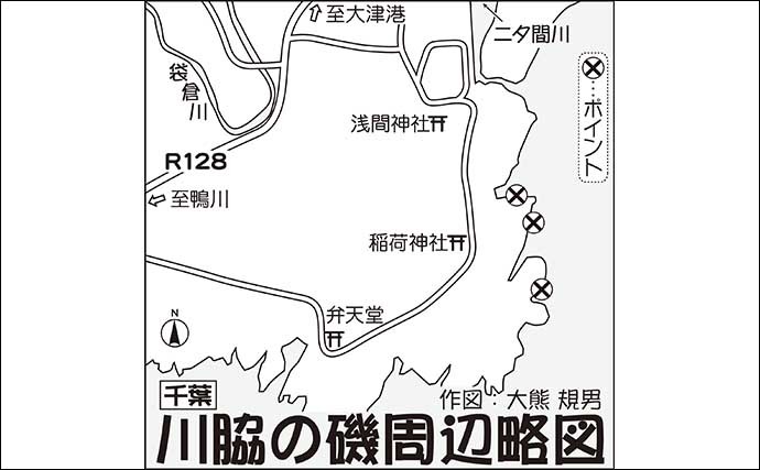 磯フカセ釣りでウミタナゴと遊ぶ　フグの猛攻かわしてツ抜け達成