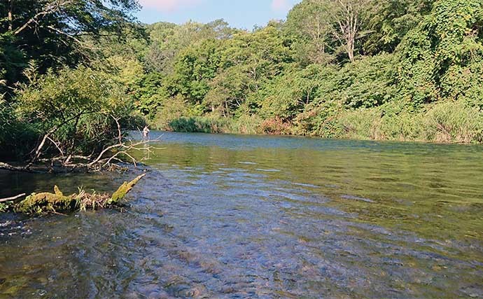 渓流釣行前に確認すべき【クマ対策の準備】　会わないことが最重要