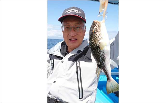 鹿島沖ショウサイフグ釣りで良型続々　好ゲストにトラフグも顔出し