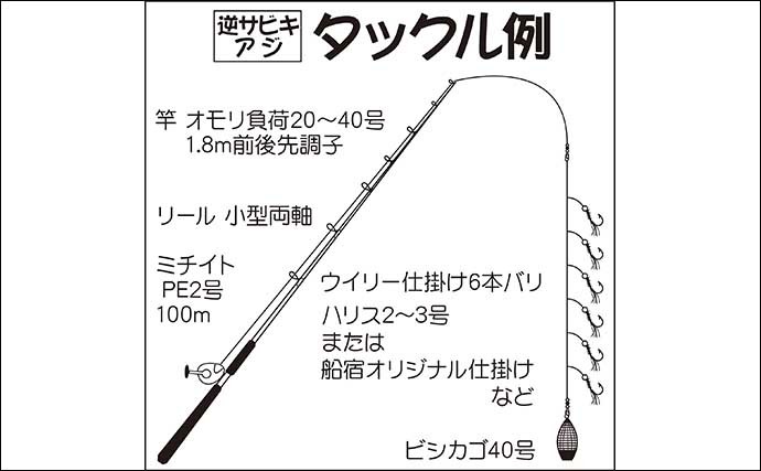 【2022年】内房エリア「逆サビキ仕掛け」大型アジ釣り入門解説