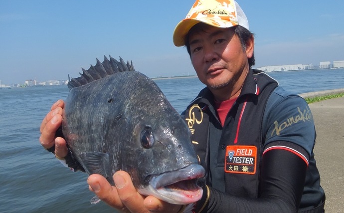 チヌ落とし込み（ヘチ釣り）解説　エサの使い分けが釣果UPの鍵