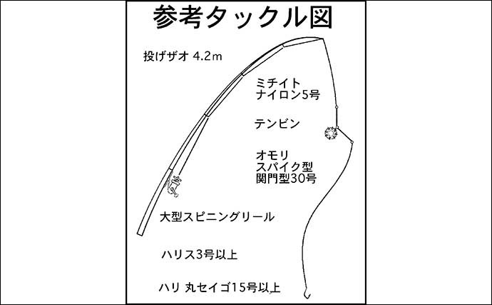 【2022年】上りマダカ釣り入門　釣り場・タックル・エサ・釣り方を解説