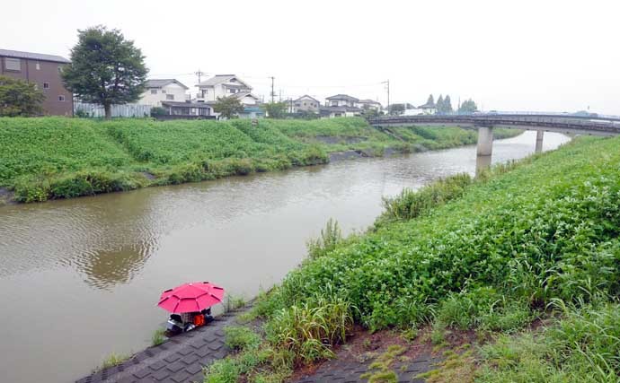 今週のヘラブナ推薦釣り場【東京都・新河岸川放水路】