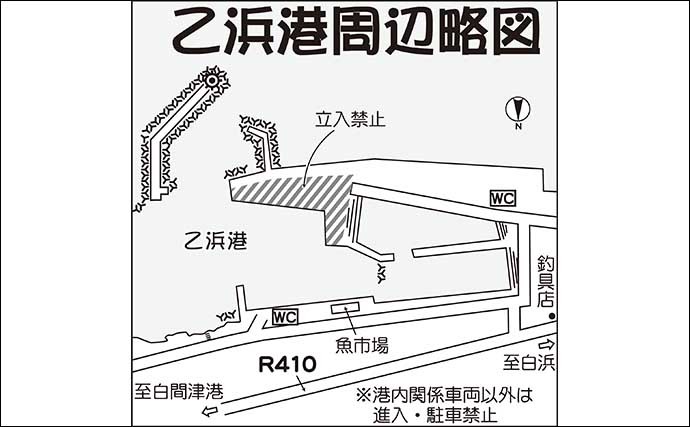 堤防でのフカセクロダイ釣りで本命44cm　好ゲストにシマアジも多数手中