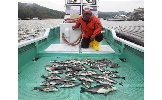 【三重】イカダ＆カセと海上釣り堀最新釣果　良型クロダイ続々顔出し