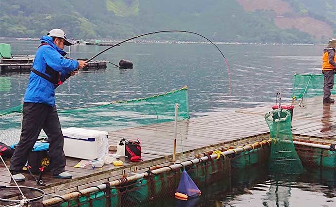 海上釣り堀でマダイ11匹にヒラマサ＆カンパチ　青物連続バラしに苦戦