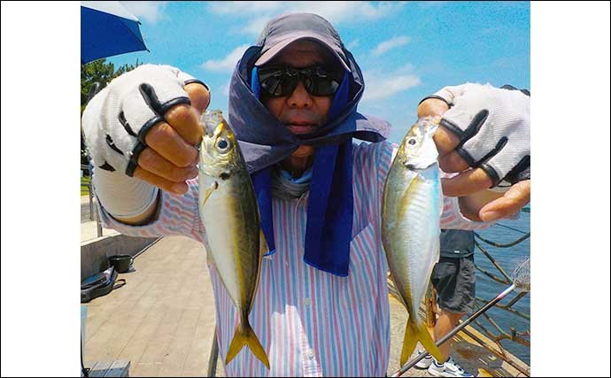 横須賀海辺釣り公園で夏の魚賑やか　タチウオ不発も満喫【神奈川】