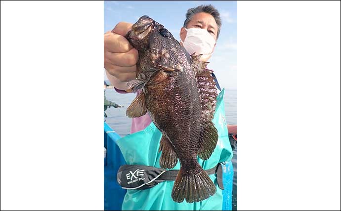 夏の風物詩「船ムラソイ釣り」が開幕　好ゲスト交じりで良型本命顔出し