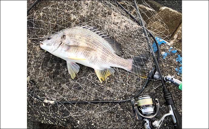 陸っぱりルアー釣り超入門：リールの「ドラグ」って何？　設定目安も紹介