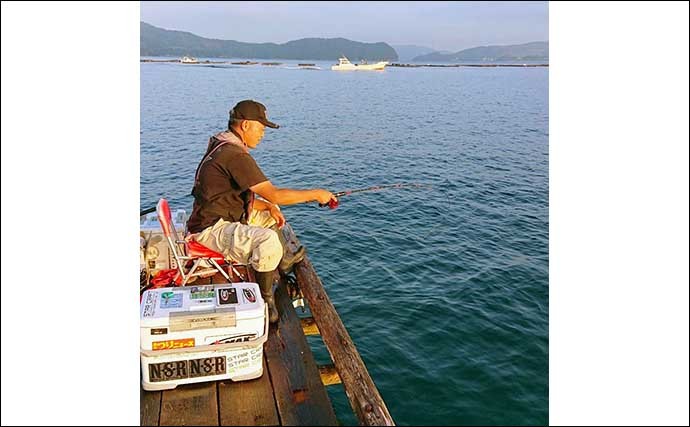 秋のクロダイカカリ釣り徹底解説　数釣り達成のための道具・エサ・釣り方