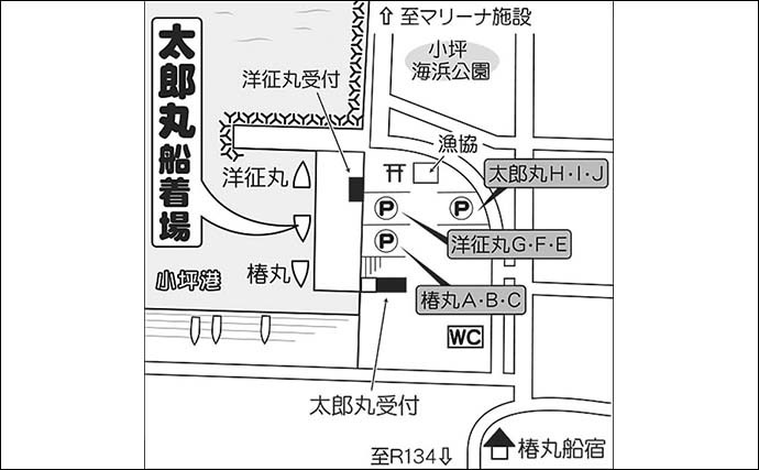 相模湾コマセカツオ釣りで船中ホンガツオ0～3尾　5kg級など良型が中心