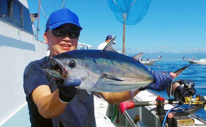 相模湾コマセカツオ＆キハダ開幕　良型カツオ続々でシーズン後期にも期待