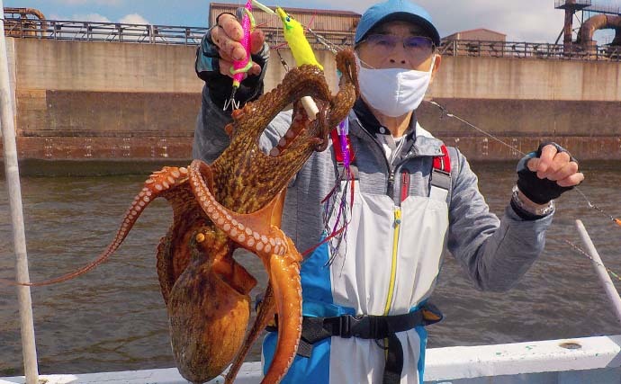 東京湾マダコ釣りが開幕　解禁日釣行は2.2kg頭に全員安打【忠彦丸】