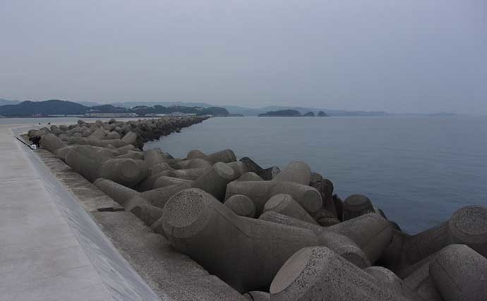 関西の沖波止紹介【水軒一文字】　乗船時の注意点と新・旧波止の特徴