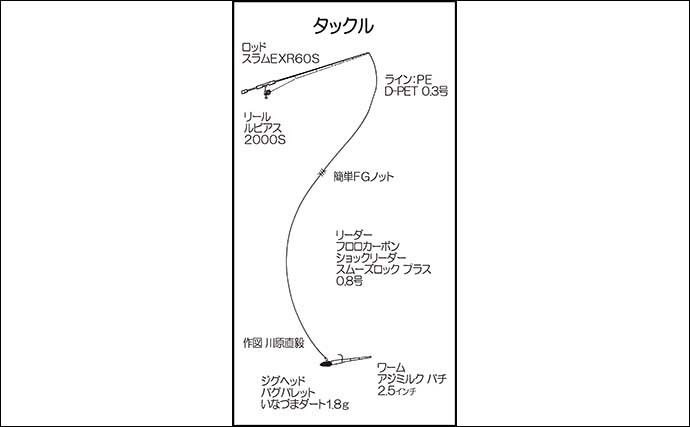 夜波止のアジング＆メバリングで両本命ゲット　周防大島の攻略法とは？