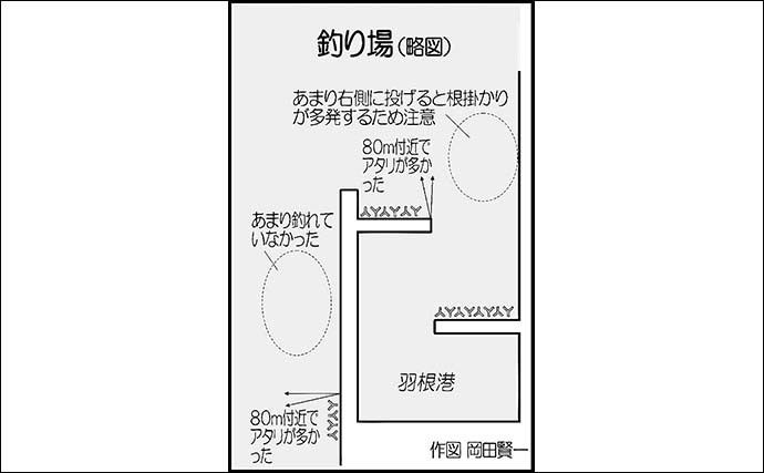 大分での投げキス釣りで15cm頭に本命21尾　20cm超は今後に期待