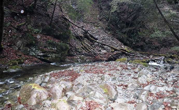 渓流エサ釣りで26cm頭にアマゴ46匹　解禁当日らしい連発を堪能