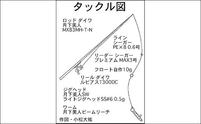 敦賀半島の夜磯メバルゲームで20cm級本命　フロートリグでキャッチ