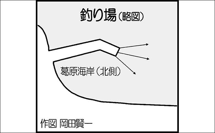 大分の波止での投げ釣りでキス25尾　高活性でトリプルヒットも