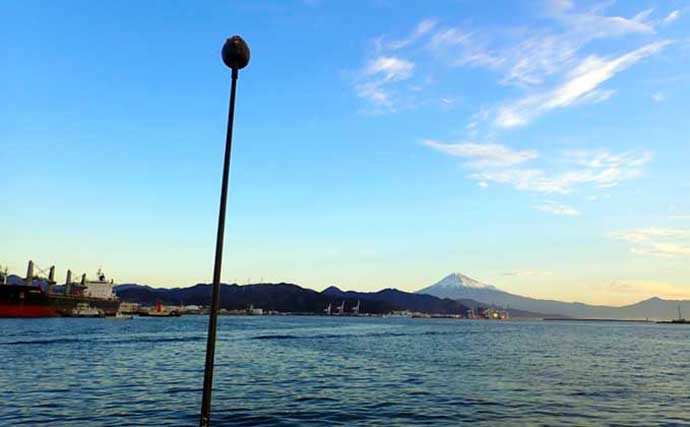 チヌ（クロダイ）釣り基礎知識　【生態・釣り方種類・仕掛け・食べ方】