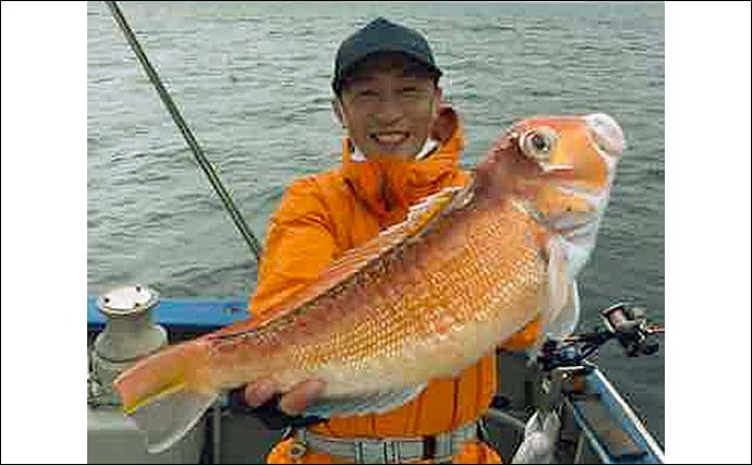 相模湾で「船アマダイ」釣りが開幕　天秤仕掛けでの釣り方キホンを解説