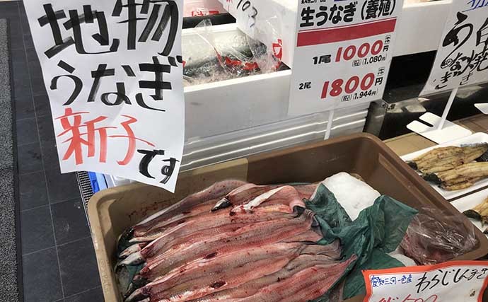 釣ったウナギで「ウナ丼」を作りたい　エサになる「アケミ貝」の採り方