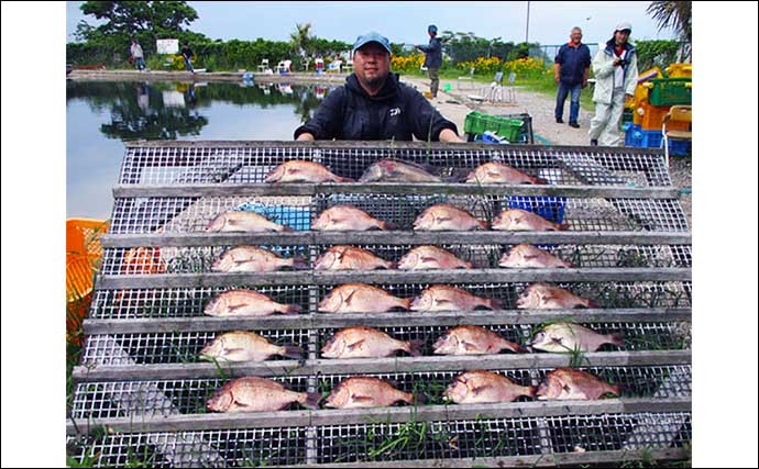 【三重・愛知】海上釣り堀の最新釣果　マダイ数釣りに良型ワラサも