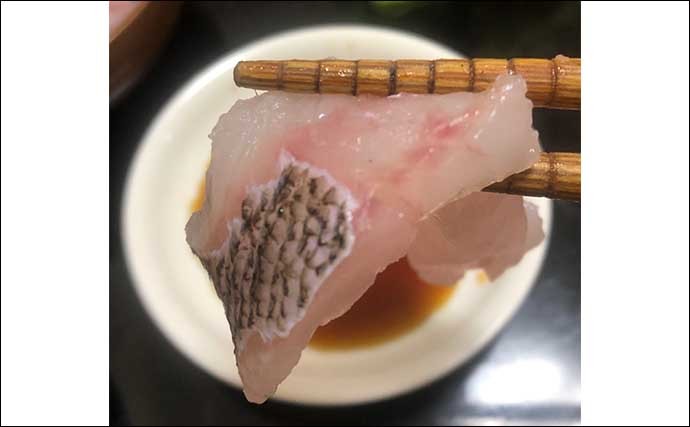 釣り人的大衆魚「カサゴ」が市場では高級魚のワケ　1kg4000円の時も？