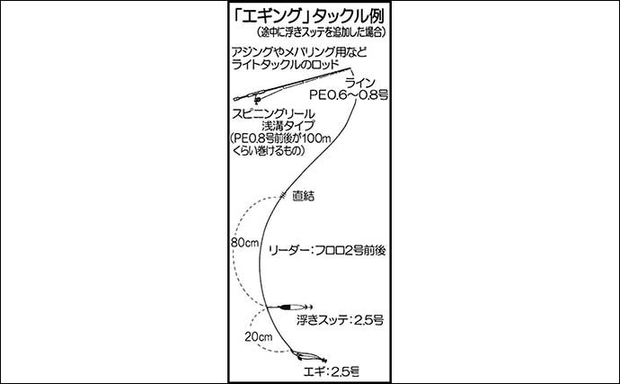 エギング徹底入門　【アオリイカ・コウイカ・ツツイカ対象毎に解説】