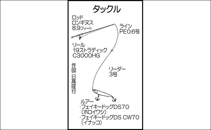 波止のトップゲームでチヌ連発　ベイトの動き読み70cm級シーバスも手中