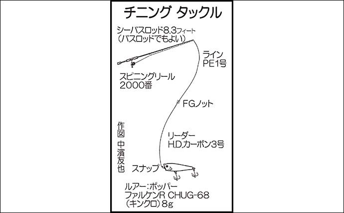 夏はトップチニングゲームが面白い　46cm頭にチヌ2尾【鳥取・中海】