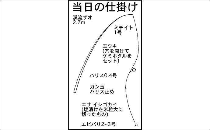 三重県の河川でテナガエビ釣り　夜の短時間釣行で22cm頭に9匹