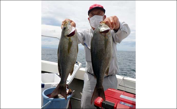 【大分・熊本】沖釣り最新釣果　島原沖でドラゴン級含めタチウオ50尾超