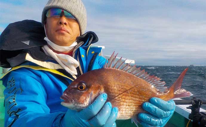 東京湾のコマセマダイ釣りで本命連発 後半食い渋るも船中トップ4尾