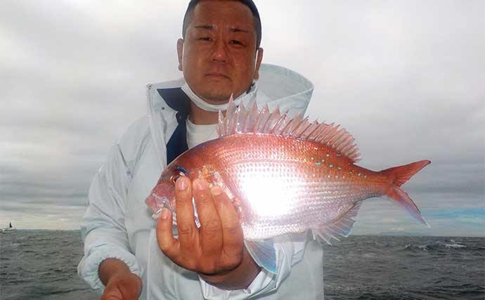 東京湾のコマセマダイ釣りで本命連発 後半食い渋るも船中トップ4尾