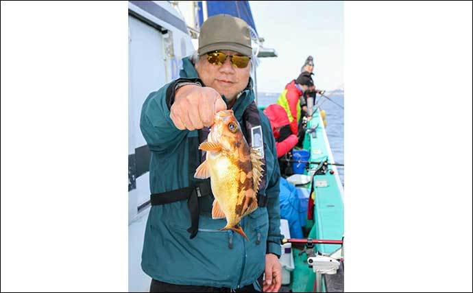 旬を迎えた浅場のオキメバル釣り　良型含みで船中多点掛け続々