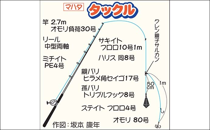 イワシ泳がせ釣りで4kg頭に良型マハタ好捕　好ゲストにヒラメも登場