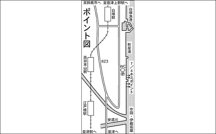 投げキス釣りで17.5cm頭に16匹　タフコンディションでも好釣【三重】