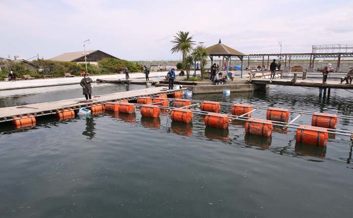 陸上型海水管理釣り場でファミリー笑顔　常連は圧巻のマダイ＆青物釣果