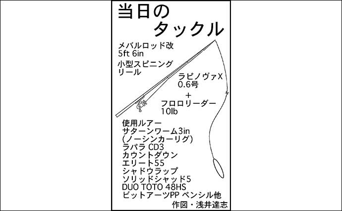 バスフィッシングでスモール＆ラージ計5匹　ノーシンカーのワームにヒット