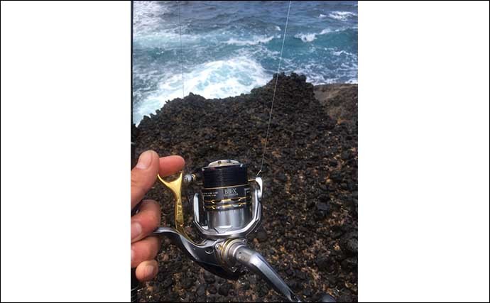 離島の磯フカセ釣りで尾長グレ快釣　今後は夜釣りが吉？【山口・見島】