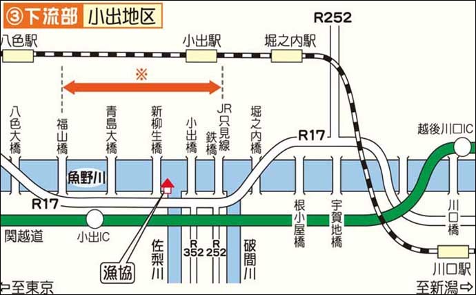 【2021新潟】アユトモ釣りオススメ河川：魚野川　エリアにより川相多彩