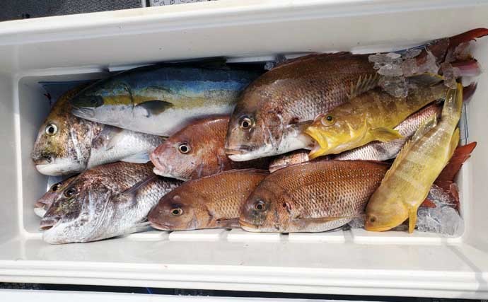 釣りビギナーが「魚の王様」マダイを釣るために：代表的な3つの釣法