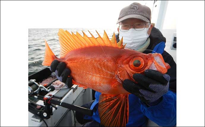 イサキ五目釣りで釣果多彩　丁寧なタナ取りでイシダイやネリゴも