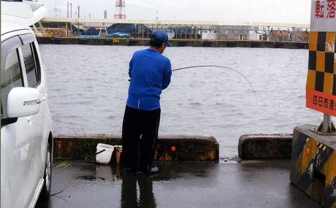 四日市港でビールのおつまみ釣り　サビキでアジ・サッパ・セイゴ手中