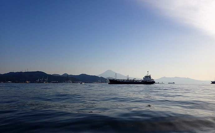 清水港カセ釣りでクロダイに大型メジナ連発　想定外のシマアジも顔出し